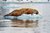 Das neue Buch! Spitzbergen - Arktische Abenteuer unter Nordlicht und Mitternachtssonne